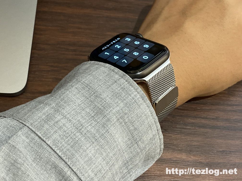 Apple Watch Series5 スペースグレイ ミラネーゼループ シルバー 着用画像